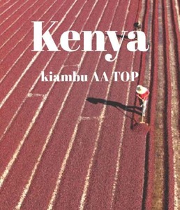 [스티즈커피] 케냐 키암부 AA TOP(미디엄 배전도)_ KENYA KIAMBU AA TOP _ sls-023