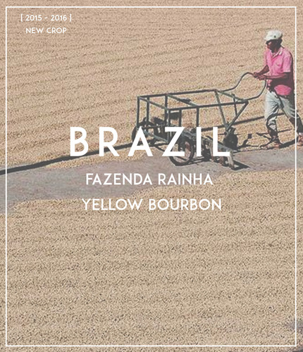 [스티즈 커피] 브라질 Brazil Fazenda Rainha_ SLS-015