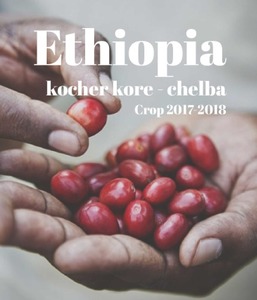[스티즈커피] 에티오피아 첼바 네츄럴 _ ETHIOPIA CHELBA NATUAL _ sls-022